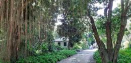 ขายบ้านสวนติดแม่น้ำปิง ท่ามกลางธรรมขาติ สายน้ำ ต้นไม้ เสียงนก และแมลง