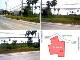 ถูกที่สุดในซอยท่าอิฐ นนทบุรี 11 ไร่กว่า หน้ากว้าง 70 เมตร ใกล้รถไฟฟ้า BTS ล้อมรอบด้วยหมู่บ้าน เข้า-ออกได้หลายทาง