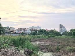 ที่ดิน ใกล้หาดจอมเทียน ถ.ชัยพฤกษ์ อ.บางละมุง จ.ชลบุรี