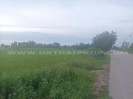 ที่ดิน ถ.พิษณุโลก-อุตรดิตถ์ ต.วังพิกุล อ.วังทอง จ.พิษณุโลก