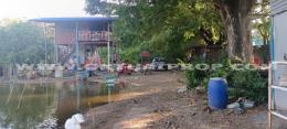 ที่ดิน เมืองพระนครศรีอยุธยา