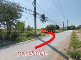 ที่ดิน ต.หน้าไม้ ลาดหลุมแก้ว ปทุมธานี