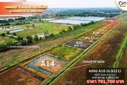 โคตรถูกที่ดินแนวสวนเกษตรชายทุ่ง คลอง 22. T.062-1574449